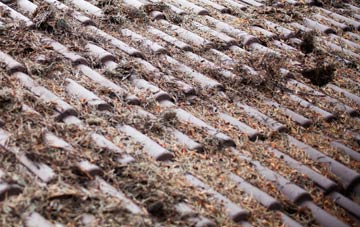 Ceathramh Meadhanach roof cleaning companies