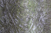 Ceathramh Meadhanach fibreglass roof work